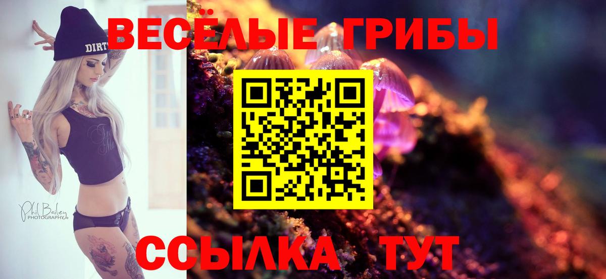 Псилоцибиновые грибы мицелий Миасс